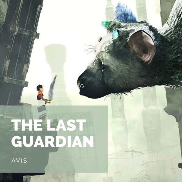 [Avis] The Last Guardian : Âmes sensibles, ne pas s’abtenir