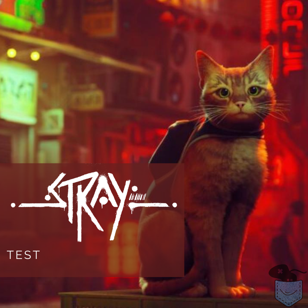 [ Test ] Stray (Switch) – Un portage qui ne sort pas les griffes